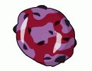 Maroon Evolutions Egg