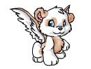 Pandakeet (Tan Mini Rinse)